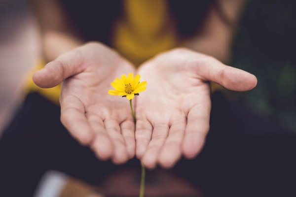 Quelles sont les valeurs d'une entreprise ?